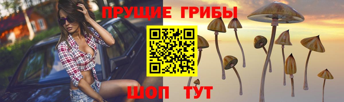 Псилоцибиновые грибы MAGIC MUSHROOMS  Вход с VPN  Воскресенск 